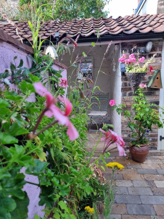 Bluebird Cottage بيكرينغ المظهر الخارجي الصورة